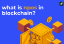 What Is Nominated Proof-of-Stake (NPoS) and Why Do We Need It?