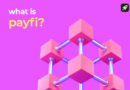 What Is PayFi and How Does It Work?