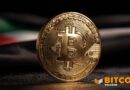 The UAE Has Quietly Built Up a $453 Million Bitcoin Reserve: Arkham 