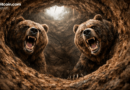 Cryptoquant Warns: Bitcoin Bear Market Bottom Not Here Yet
