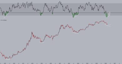 Bitcoin RSI eyes 2022 repeat as analysis suggests ‚time to pay attention‘