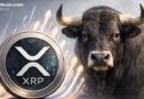 XRP Climbs Back Strongly With Bulls Regaining Control Amid Macro Shift