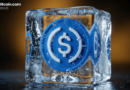 USDC Freeze Controversy: ZachXBT Says Circle Froze 16 Legitimate Wallets, Missed Real Hacks