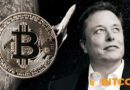 SpaceX Heads Into Historic IPO With a $1.45 Billion Bitcoin Treasury on Its Books