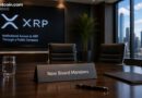 Evernorth Adding Ripple Legal Chief to Board Ahead of XRP Treasury Push