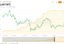 Strategy’s $66B Bitcoin machine hinges on capital markets, not BTC price: Report