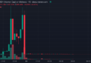 Trump-promoted brand touts GOLD before token collapse