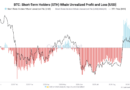 New Bitcoin whales spark sell-side risk as unrealized gains hit $9B