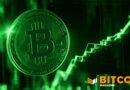 Bitwise Raises Bitcoin Target to $1.6 Million as Institutions Keep Buying