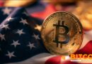 US Hoovers up Bitcoin While the World Runs on Its Digital Dollars: Report