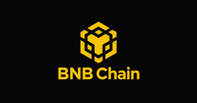 BNB Chain Hits 2 Million RWA Holders, Capturing 40% of Onchain Market