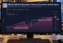 Bitcoin Bottom May Be Near as 30,000 Wallets Disappear: Santiment